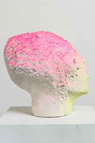 Без названия (Розово-зеленая голова)