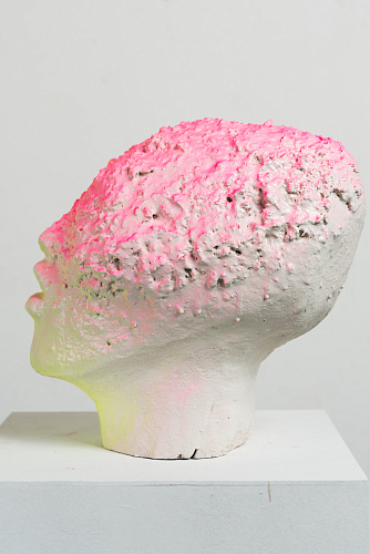 Без названия (Розово-зеленая голова)