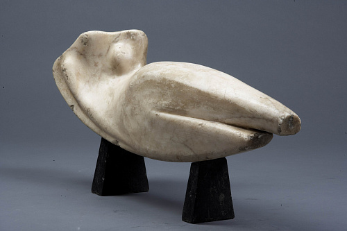 Торс в космосе""