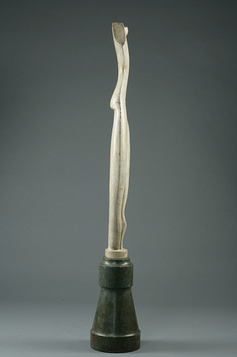 "Плоский торс"