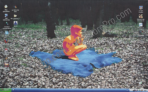 "Бой"