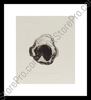 "Эволюция 1"