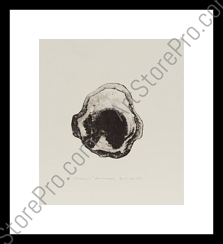 "Эволюция 1"