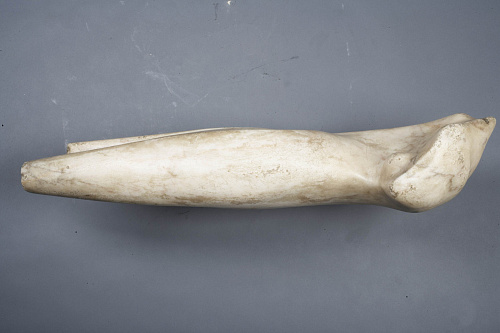 Торс в космосе""