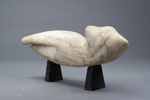 Торс в космосе""