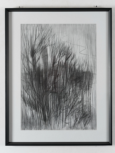 Без названия 