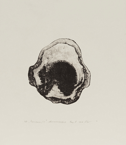 "Эволюция 1"