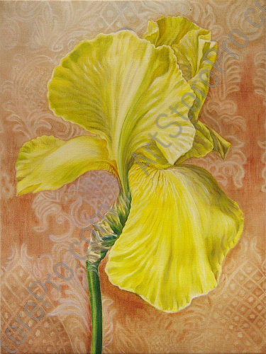 "Жёлтый ирис"